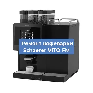Чистка кофемашины Schaerer VITO FM от кофейных масел в Москве